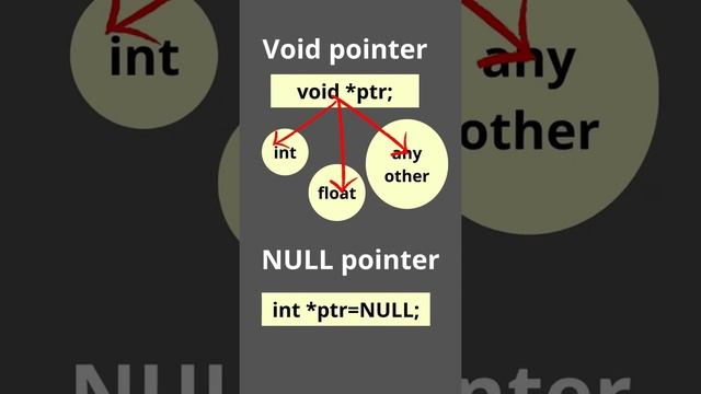 Difference between NULL pointer and Void pointer || by Sneha Das ||