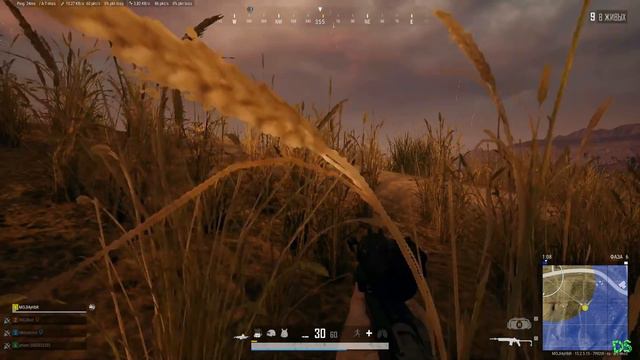 PUBG : Best & Funny Moments | PUBG HIGHLIGHTS & WTF | # 590