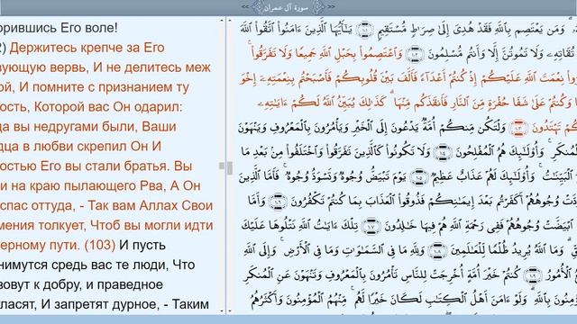 Семейство Имрана Аль Имран