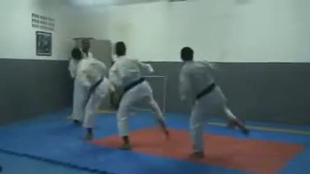 Karate Monteiro Tecnicas Keri