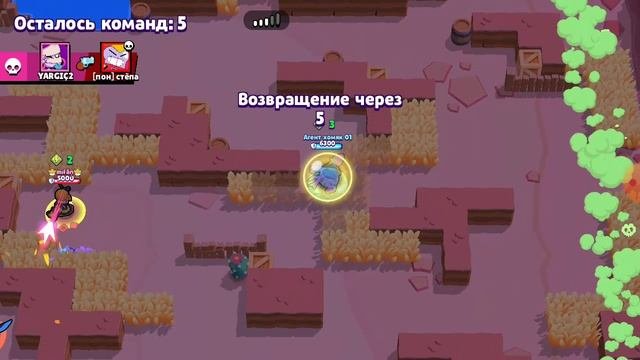 нулс бравл