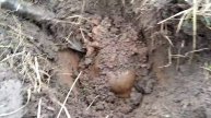 Немецкая каска!
