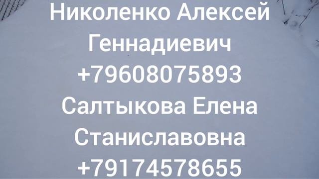 ГДЕ УЗНАТЬ ЧИСТОПОРОДНОСТЬ ПЧЕЛ ?   г. УФА ИНСТИТУТ БИОХИМИИ И ГЕНЕТИКИ .УФИЦ РАН.