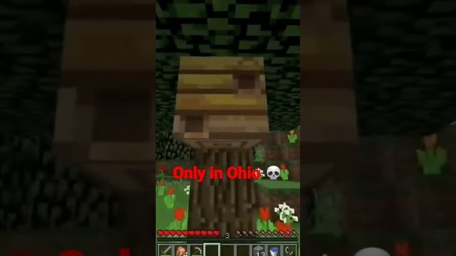 Minecraft in Ohio? TikTok meme trend ? #ohio #tiktok