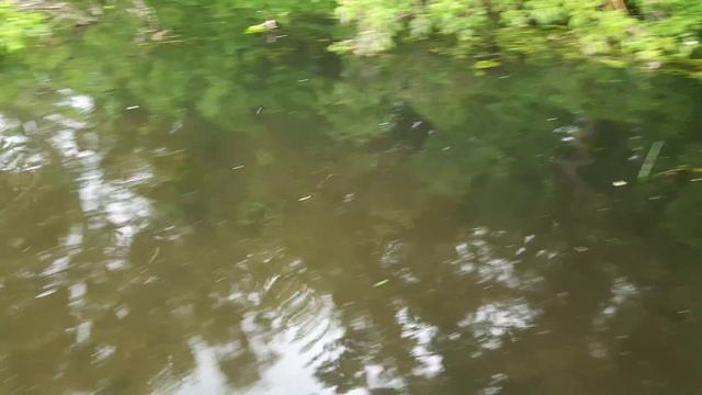 Окунь#ЗДОРОВЕННЫЙ ЕРШ#Разведка места