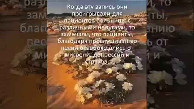 Исцеляющее песнопение. ?