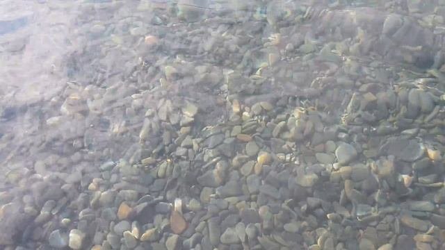Черное море 7.00 - ЧИСТЫЙ КАЙФ 26.07.2018