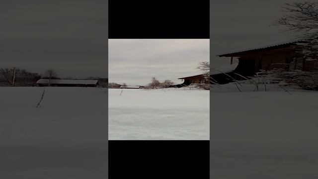 VID_20231225_124914.mp4