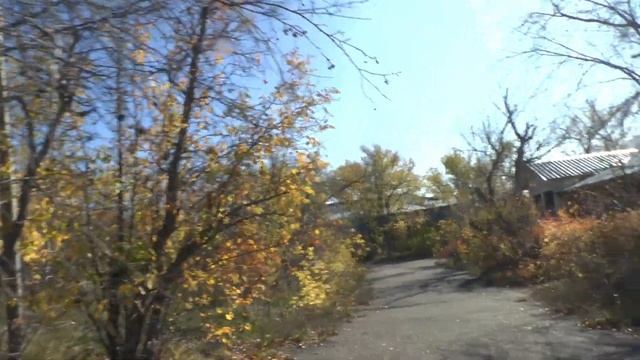 Пионерский лагерь Дружный осень 2023 год, из воспоминаний бывших сотрудников  (1970-1980 годов)