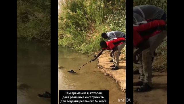 Наставники наставников