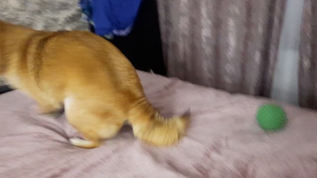 20231106_165519.mp4