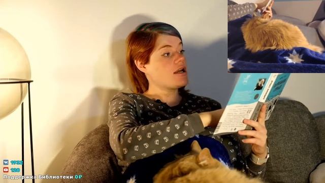 Вафельное сердце [17-20] | Читаем вслух #41