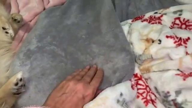 Всем наидобрейшего утречка и замечательного начала дня.