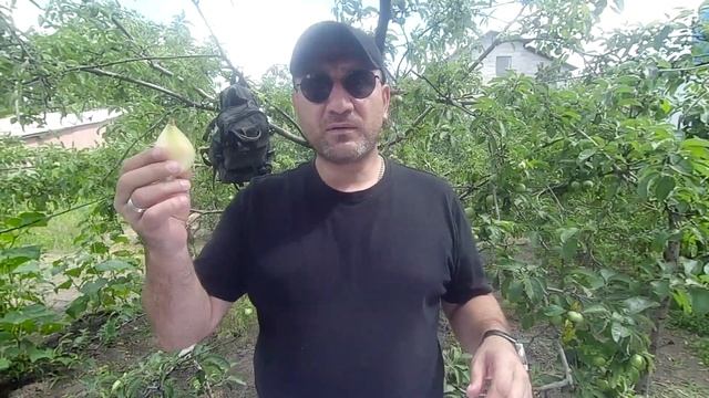 Наше походное меню