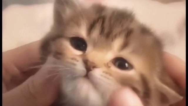 ❤️?….