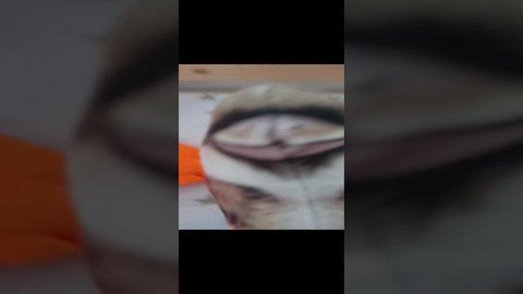 привет Олег Олегович