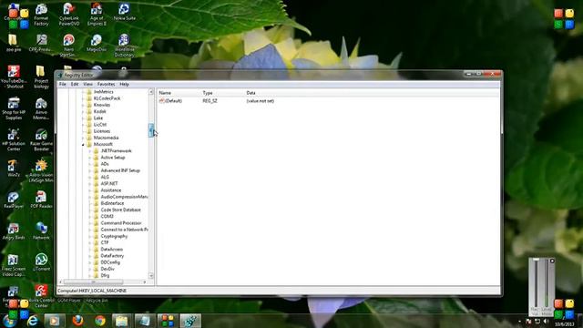 Best tutorial to repair Windows Speech Recognition Error