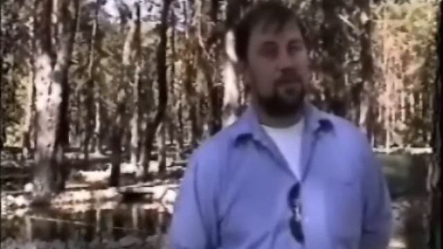 "поПУЛЯрные технологии"