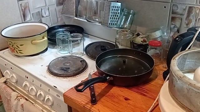 Россошанка, соковыжималка которой только в этом сезоне нажал 200 литров сока#рыбаковиздивногорска