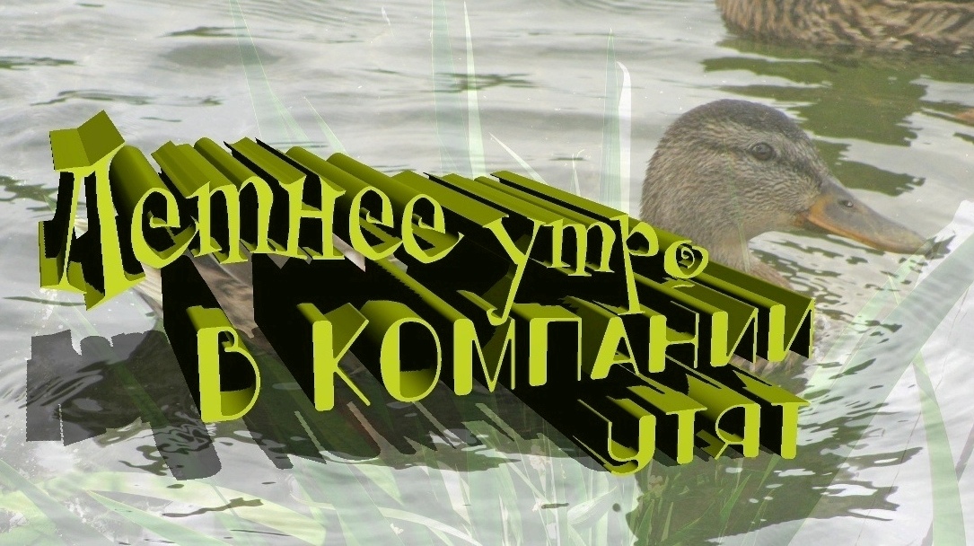 Летнее УТРО в компании УТЯТ