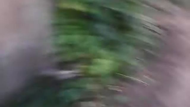 Спалили в туалете или падение в конце видео.