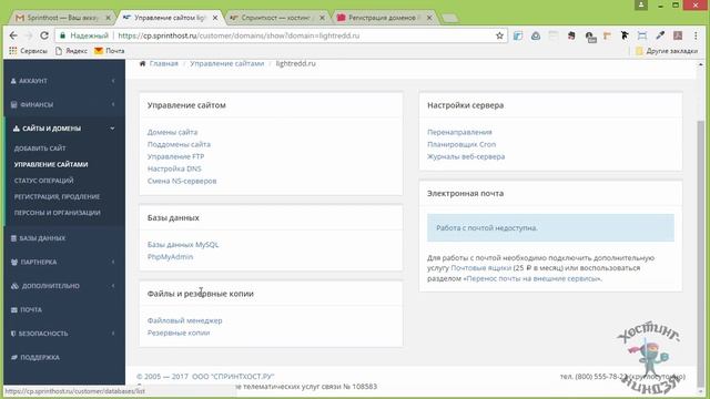 Хостинг Sprinthost.ru. Как привязать домен к своему хостингу