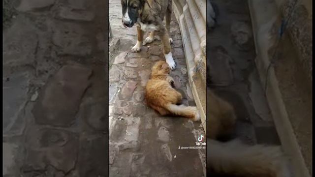 Пайда 1 месяц