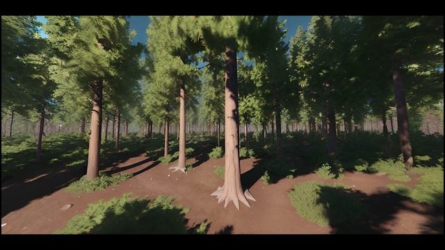 360° Forest Odyssey: Discovering Hidden Treasures | VR