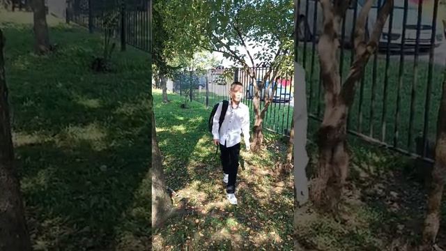 я  клипер