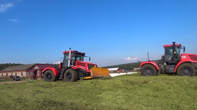 КИРОВЕЦ К-525 и К-739 утрамбуют что угодно. Заготовка силоса в яму.