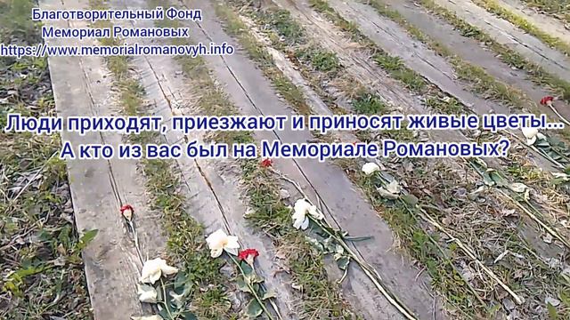 Люди приходят, приезжают и приносят живые цветы....А кто из вас был на Мемориале Романовых?