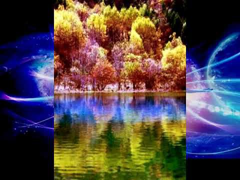 ВЫКЛЮЧИ-ТЕ NLP (НЛП*)