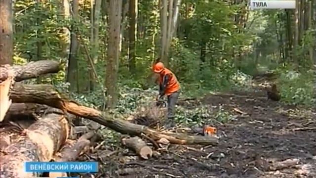 Поправки в лесной кодекс РФ
