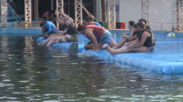 Дельфинарий в Паттайе!!! Dolphin World Pattaya!!! Экскурсии с Pattaya-cheap-tour.ru