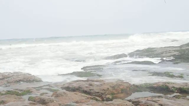 rocky sea shore