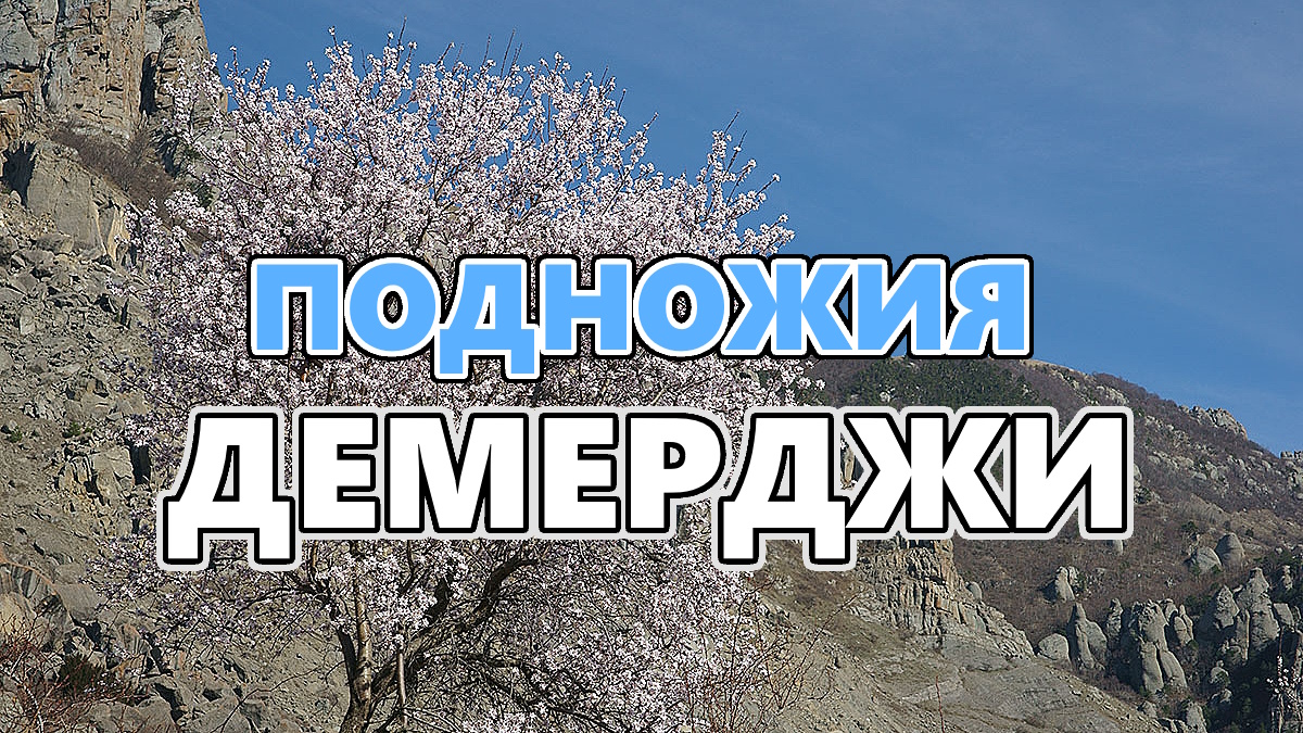 Цветущие деревья у подножья Демерджи и Лысого Ивана. Крым. Апрель