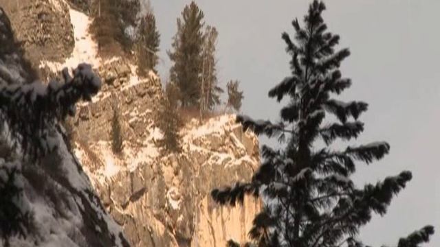 Планета Земля. Россия. Алтай.