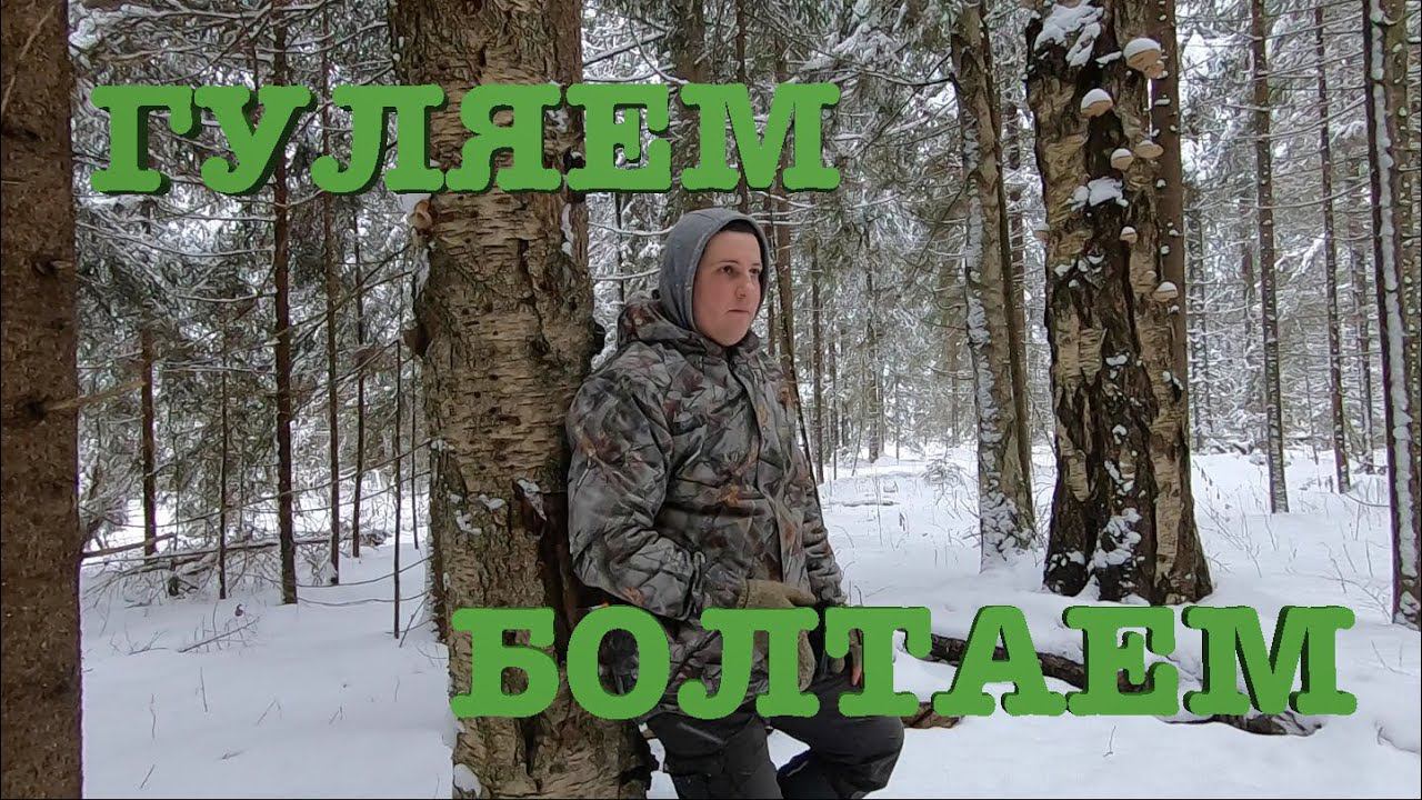 39. Прогулка по лесу. Ответы на вопросы. ч.1. Жизнь на своей земле