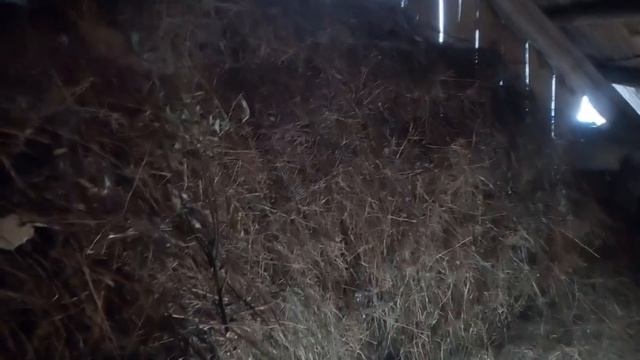 Как поднять сарай