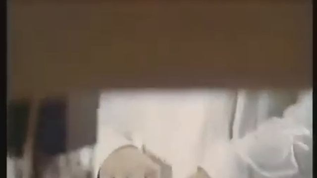 Пчеловодство, целебные свойства меда