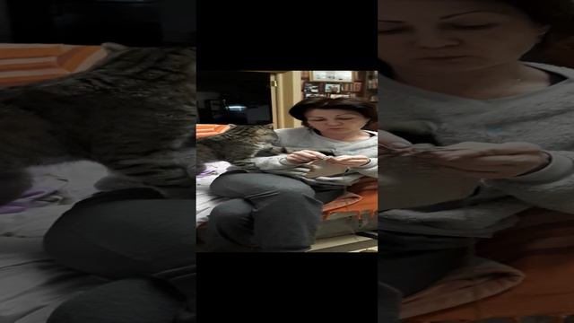 Маркиз влюблен в хозяйку