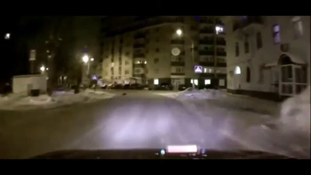 Некоторые животные иногда умнее людей!