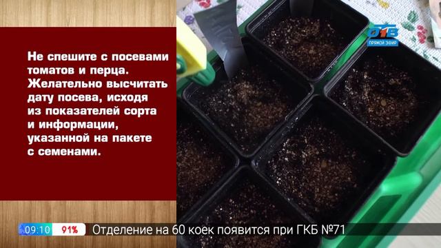 Руки садовода – чем заняться садоводу в феврале