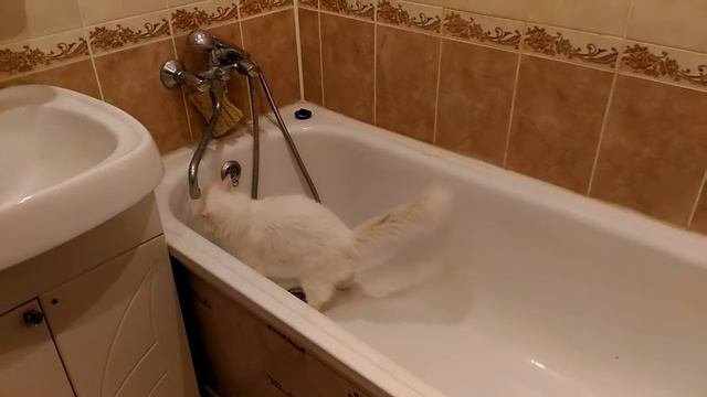 Изобретательница