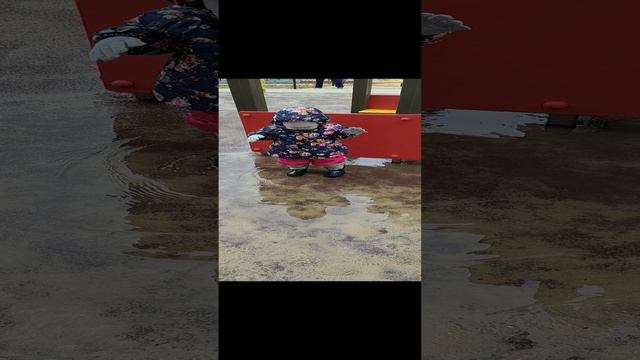 Прогулки по лужам