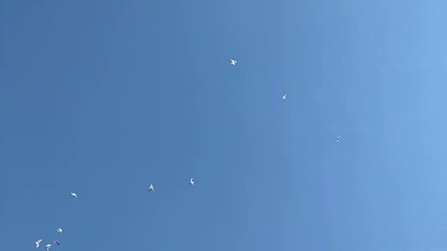 VID 20200921 161634 1