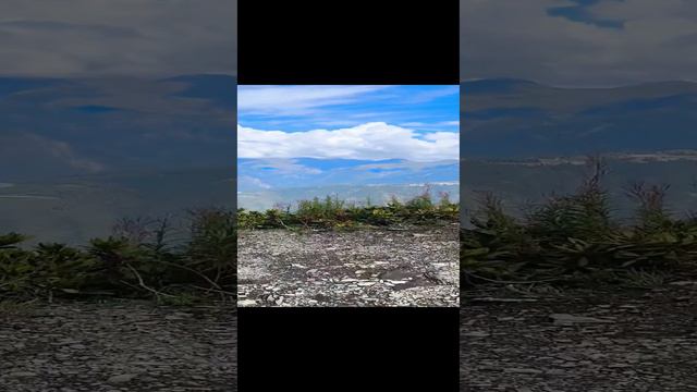 В погоне за облаками