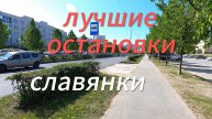 Лучшие остановки района Славянка / Санкт-Петербург
