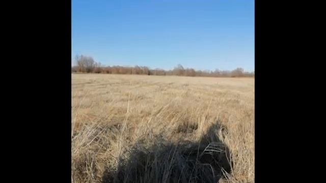 14 ДНЕЙ ВОЗДЕРЖАНИЯ(эффекты).