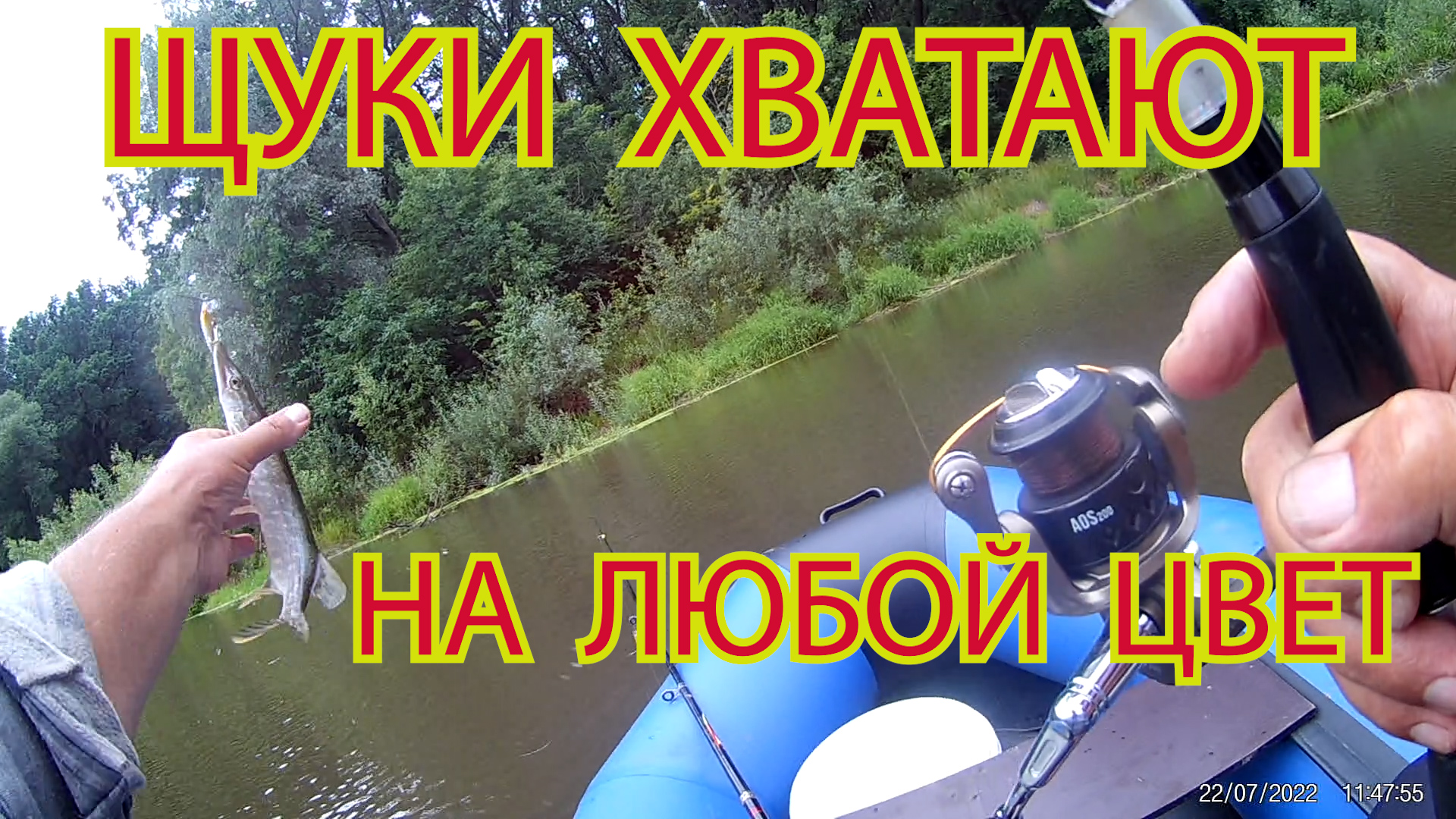ЛОВЛЯ ЩУКИ НА  ВОБЛЕРЫ  ОДНИМ  КАДРОМ  ОТПУСТИЛ  16.